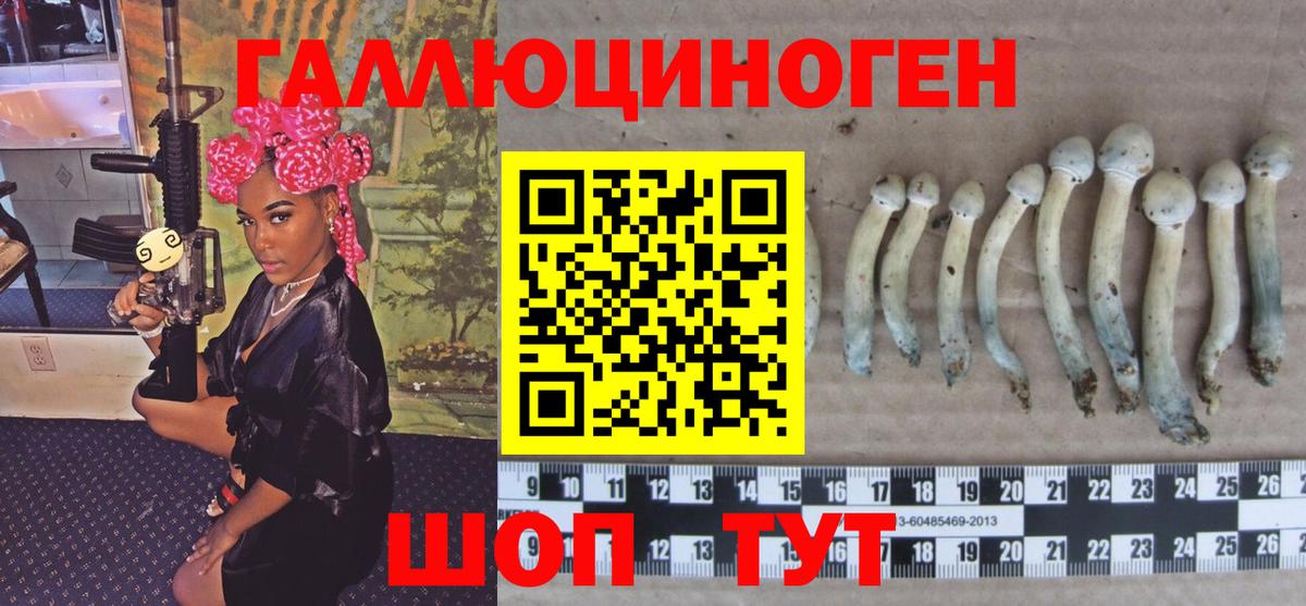 Семилуки  Галлюциногенные грибы Psilocybe  Вход с VPN 