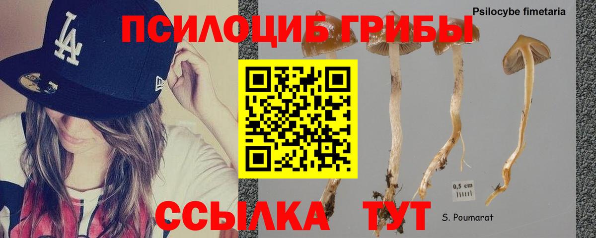 Галлюциногенные грибы Cubensis Семилуки